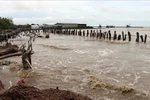 Kien Giang suffers from coastal erosion