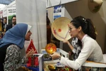 Vietnam leaves strong impression at cultural festival in Egypt