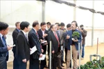 Vietnamese, Lao, Cambodian farmers talk agriculture, rural development 