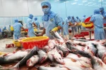 Tra fish exports target 2.4 billion USD