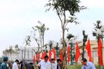 Tree-planting festival greens up localities
