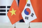Association contributes to consolidating Vietnam-RoK relations 