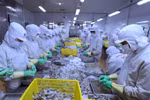 Fisheries sector targets 10 billion USD export value
