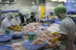 VASEP rejects false news on tra fish in Romania