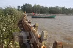 Nearly 2.6 million USD for sea embankment projects in Ca Mau