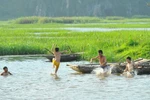 Dong Thap fights child drowning