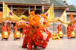Lion dance teams to celebrate mid-Autumn festival