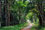 Environment protection needed in tourism development 