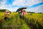 Tra Vinh seeks higher labour productivity