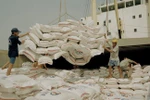 Rice export surges 74.2 percent in January