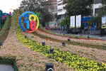 Nguyen Hue Flower Street opens for Tet