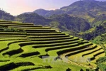 Muong Lo Tourism-Culture Week to resume on October 12-14