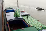 Rising sea levels threaten Vietnam’s top rice producer