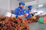 Collective bargaining helps build harmonised labour relations