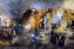 44 new caves found in Phong Nha – Ke Bang national park 
