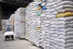 Rice export sees huge opportunities from traditional markets 