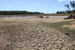 Conference reviews climate change response support programme 