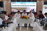 Solutions sought to drought, saline intrusion in Mekong Delta
