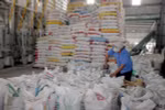 Promising future for rice exporters