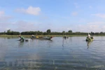 Flood-based livelihoods to help Mekong Delta’s water storage