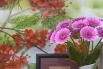Beautify your life with clay flowers