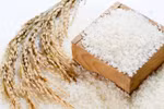 Sticky rice sees price reduction