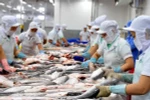 Tra fish exports surge in seven months