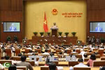 Voters urge building of complete legal framework for SOE equitisation 