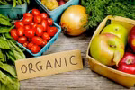 Indonesia strengthens export of organic products