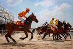 Horse racing course added into Hanoi’s planning