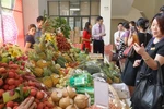 Vietnam, China promise optimal conditions for lychee export