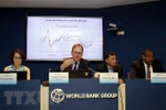 FDI – a successful part in Vietnam’s economic development: WB economist