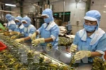 Fruit, vegetables become big foreign currency earner