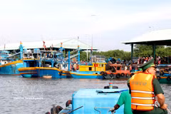 Officers from Thanh Hai Border Guard Station (Phu Thuy ward, Lam Dong province) patrol and monitor fishing vessels entering and leaving the port. (Photo: VNA) 