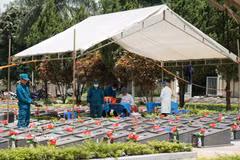 A task force collects DNA samples from the remains of fallen soldiers at the Duc Co Martyrs' Cemetery in Duc Co commune, Gia Lai province. ( Photo: VNA)