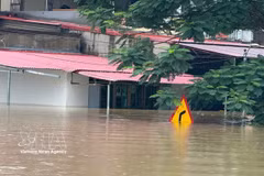 In Kim Tan commune, Thanh Hoa province, flood has submerged more than half of the ground floors of two- and three-storey houses. (Photo: VNA)