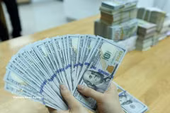 The daily reference exchange rate is set at 25,627 VND/USD on October 26. (Photo: VNA)