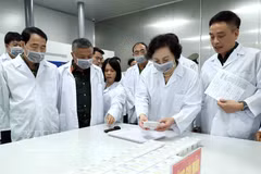 Party Central Committee Secretary and Deputy Prime Minister Pham Thi Thanh Tra examines a sample of a martyr’s remains, which has been carefully packaged in accordance with national standards. (Photo:VNA) 