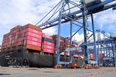 Vietnam’s seaport logistics system is creating strong opportunities to further boost bilateral cooperation between Italy and Vietnam. (Photo: VNA) 