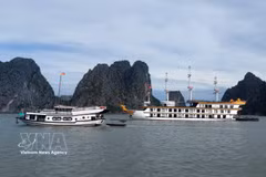 Ha Long Bay suspends visitors' access to Soi Sim beach. (Photo: VNA)
