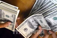 The daily reference exchange rate is set at 25,591 VND/USD on September 10. (Photo: VNA)