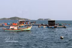 Vessels in the area of An Thoi fishing port in An Giang province (Photo: VNA)