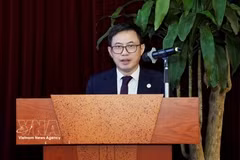 Deputy Director General of the Intellectual Property Office of Vietnam Lê Huy Anh speaks at the meeting. (Photo: VNA)
