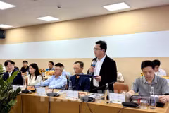 A business representative speaks at the conference. (Photo: VNA)