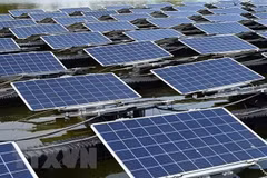 A solar power facility. (Photo: AFP/VNA) 
