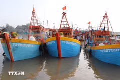 Fishing boats anchor before heading out to the sea. (Illustrative photo: VNA)