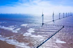 Vietnam harnesses offshore wind to power its green transition (Photo: VNA)