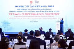 Delegates at the conference. (Photo: VNA)