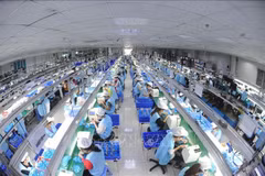 An electronics production line at the Suntech JSC in Thanh Van Industrial Cluster, Bac Ninh province (Photo: VNA)