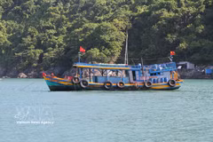 The rollout of eCDT for fishing boats measuring 6 metres or more is an important measure to strengthen monitoring of vessels, catches and seafood origins, ensure complete and transparent electronic records, and support efforts to combat illegal, unreported and unregulated (IUU) fishing. (Photo: VNA) 